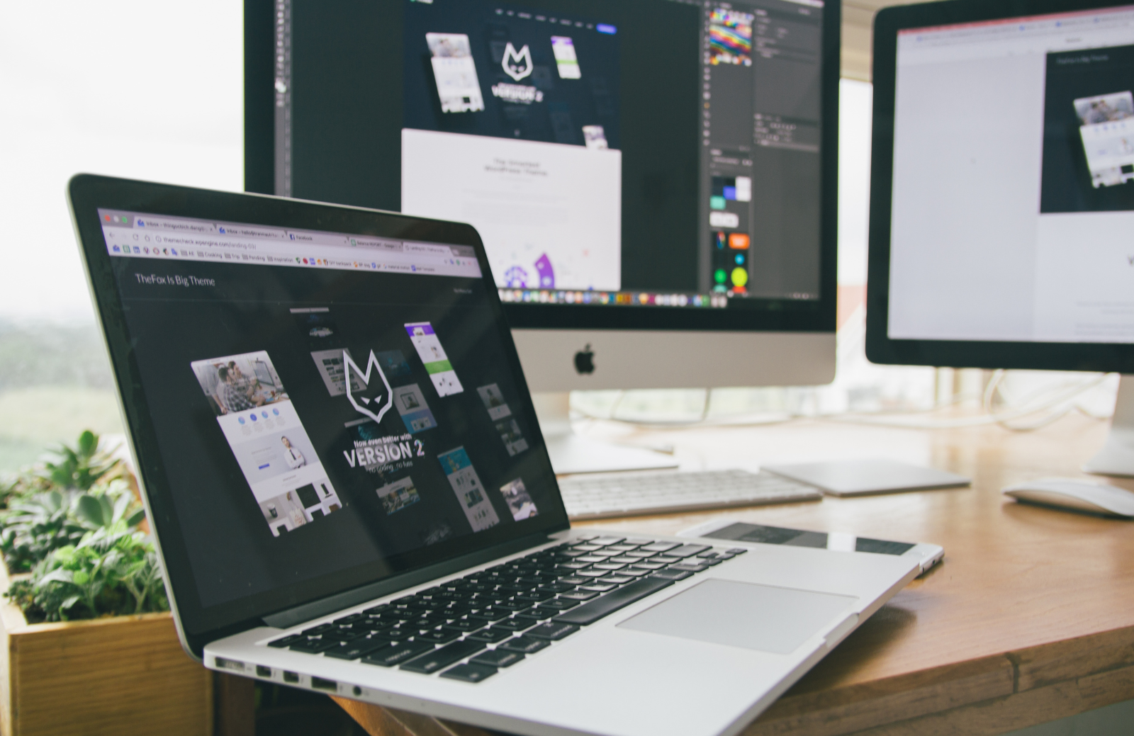 Web Design & Development